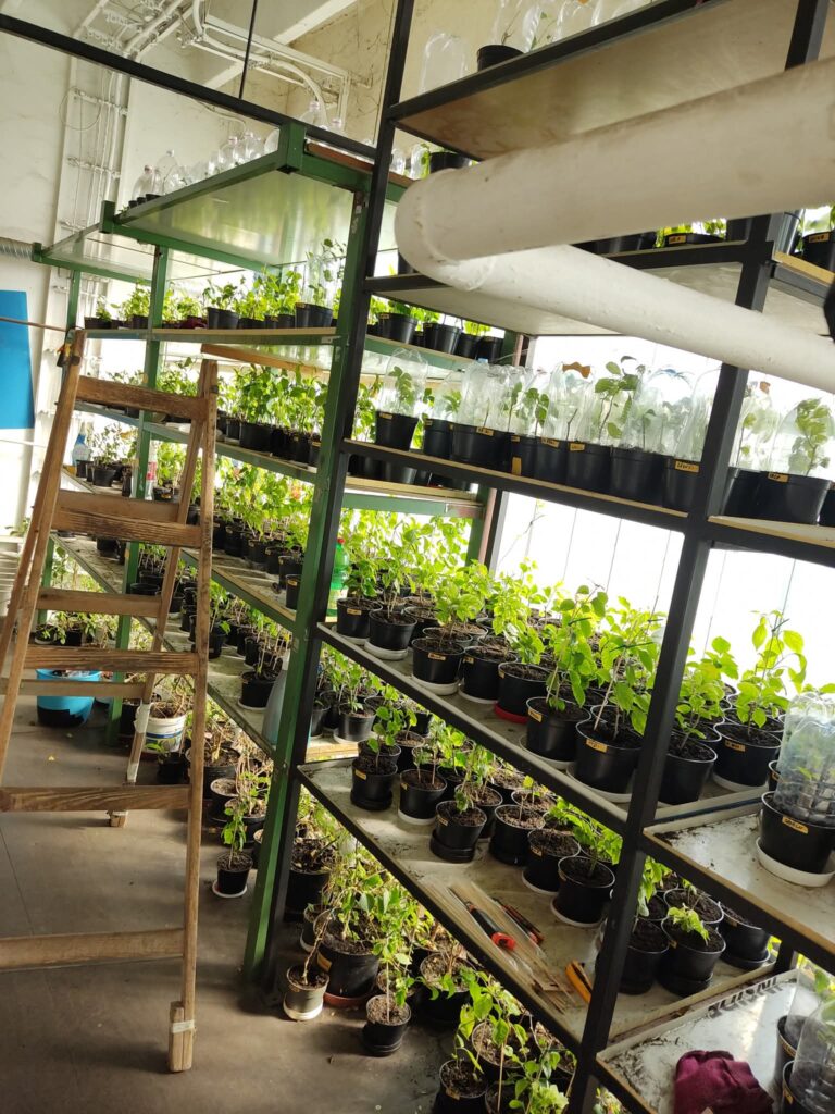 fb img 1767202295028