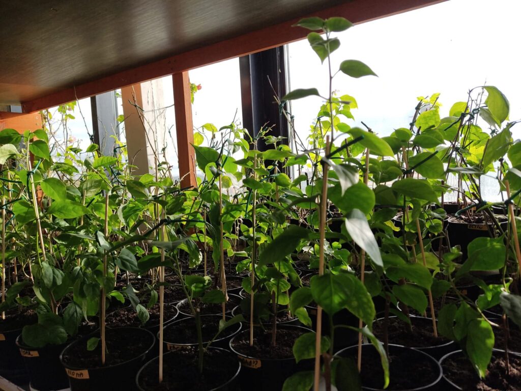 fb img 1767202384190