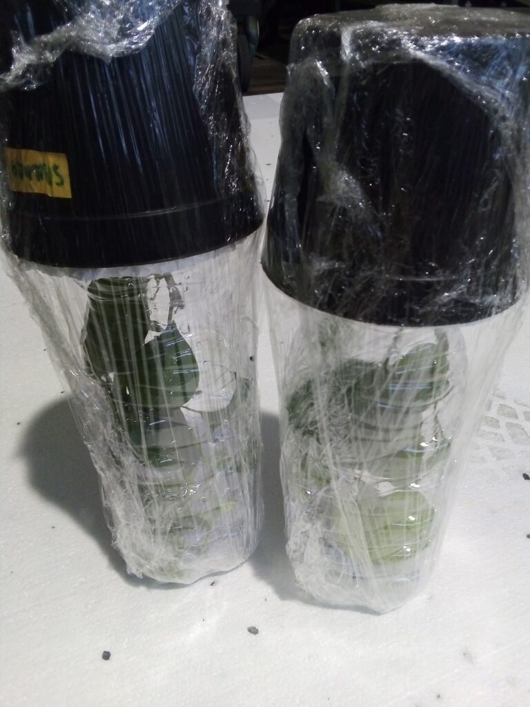 fb img 1767203740436