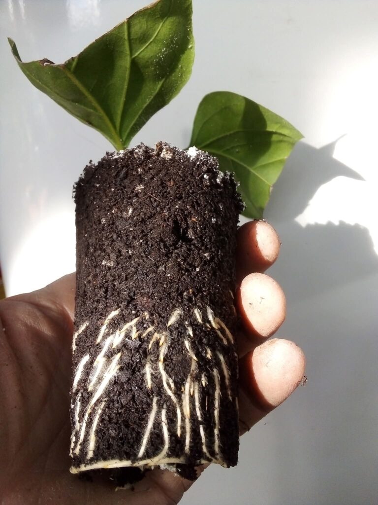 fb img 1767203774579